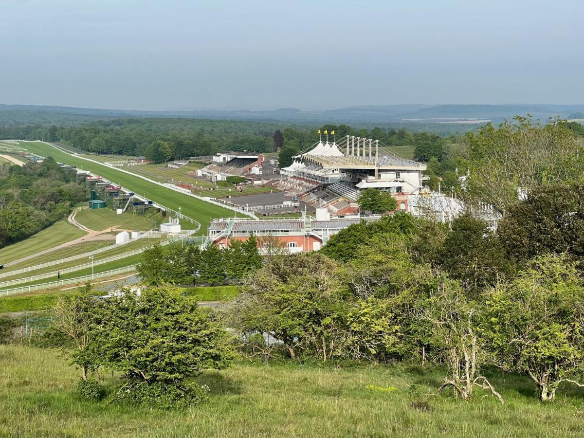 Bed and Breakfast Flint House - Goodwood Events Чічестер Екстер'єр фото